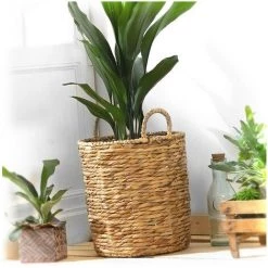 CASAME Panier Haut En Jacinthe D'eau - Casâme - Beige -Petit rangement Soldes Magasin 25145622 3