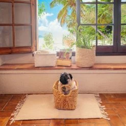 COMPACTOR Panier De Rangement - Bois Naturel -Petit rangement Soldes Magasin 30528748 5