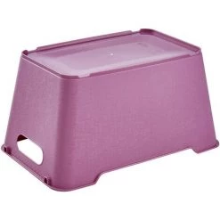 KEEEPER Boîte De Rangement, Polypropylène, 6 L, Framboise, 29.5x19x15 Cm -Petit rangement Soldes Magasin 33032213 3