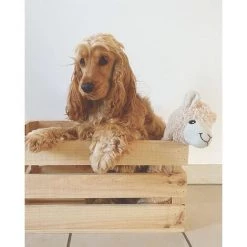 DECOWOOD Boîte Naturelle Grande -Petit rangement Soldes Magasin 33149648 2