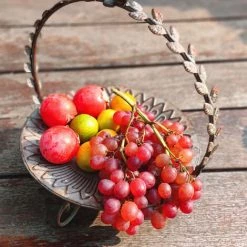 ASUPERMALL Retro Comptoir De Fruits Porte-Panier De Noel Decoratif Bol Stand Decoration Fer Assiette De Fruits Festivals Panier De Rangement, Type 2 - Type 2 11 ASUPERMALL Retro Comptoir De Fruits Porte-Panier De Noel Decoratif Bol Stand Decoration Fer Assiette De Fruits Festivals Panier De Rangement, Type 2 - Type 2 -Petit rangement Soldes Magasin 33482857 5
