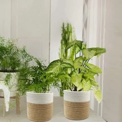 LONGZIMING Corde De Coton Panier, 20×20cm Paniers De Tressé Pliable A Vec Poignée Panier De Rangement, Panier De Plantes Pour Pot De Fleurs Coton Stand Home Decor Blanc + Jute -Petit rangement Soldes Magasin 36473802 4