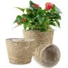 BRIDAY Panier à Plantes Lot De 3 Paniers D'herbes Marines Panier De Jardinières Tissé à La Main Avec Doublure En Plastique Imperméable Pots De Plantes Conteneurs Couverture Organisateur De Rangement Paniers Pour Pots De Fleurs De Plantes D'intérieur Et D'extérie -Petit rangement Soldes Magasin 37006581 1