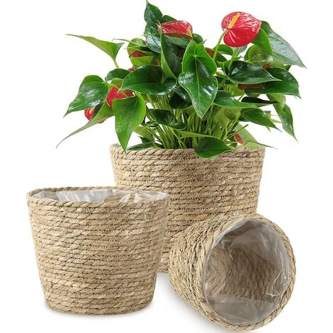 BRIDAY Panier à Plantes Lot De 3 Paniers D'herbes Marines Panier De Jardinières Tissé à La Main Avec Doublure En Plastique Imperméable Pots De Plantes Conteneurs Couverture Organisateur De Rangement Paniers Pour Pots De Fleurs De Plantes D'intérieur Et D'extérie 3 BRIDAY Panier à Plantes Lot De 3 Paniers D'herbes Marines Panier De Jardinières Tissé à La Main Avec Doublure En Plastique Imperméable Pots De Plantes Conteneurs Couverture Organisateur De Rangement Paniers Pour Pots De Fleurs De Plantes D'intérieur Et D'extérie