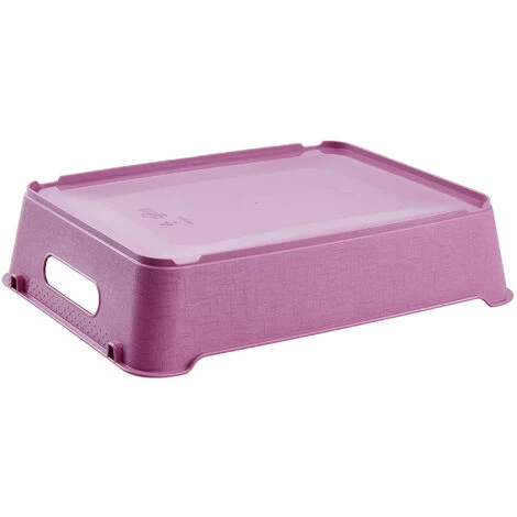 KEEEPER Boîte De Rangement 2x, Polypropylène, A5, Framboise, 28x21x6.5 Cm 5 KEEEPER Boîte De Rangement 2x, Polypropylène, A5, Framboise, 28x21x6.5 Cm – Image 3