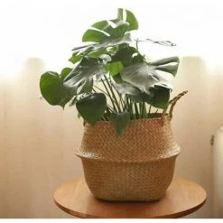 Jardinière En Osier Faite à La Main. Rangement De Paniers De Fleurs. De Linge. Panier Décoratif. Pot De Fleurs En Rotin. FUIENKO -Petit rangement Soldes Magasin 55268750 3