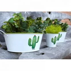 JARDIBRICODECO Corbeille Ronde En Métal Laqué Blanc Cactus -Petit rangement Soldes Magasin 55333772 2
