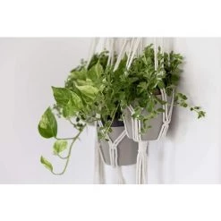 EINEMGELD Décoration De Pot De Fleur En Fil De Macramé - Décoration Murale Boho Fleur Panier Suspendu Maison Corde De Coton Pour Utilisation Intérieure Et Extérieure 11 EINEMGELD Décoration De Pot De Fleur En Fil De Macramé - Décoration Murale Boho Fleur Panier Suspendu Maison Corde De Coton Pour Utilisation Intérieure Et Extérieure -Petit rangement Soldes Magasin 61324864 5