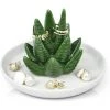 OSQI Aloe Cactus Elephant Ring Holder Cat Trinket Dish Jewellery Tray Gifts For Women, Girl, Her, Friend, Lovers, Flamingo Elephant Cat Bulldog Themed Gifts, Anniversaire, Noël, Pendaison De Crémaillère, Cadeaux De Mariage -Petit rangement Soldes Magasin 65506527 1