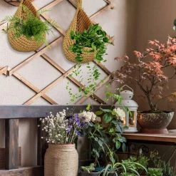 OCXIN Panier Suspendu Panier De Fruits Panier Mural Suspendu 21 * 21cm Panier De Fruits En Macramé Panier Tissé Pot De Fleur Panier De Fruits Paniers De Rangement Muraux Suspendus Panier De Légumes En Jute Panier De Plantes Panier Suspendu Décoratif Pour Cuisin -Petit rangement Soldes Magasin 66998923 4