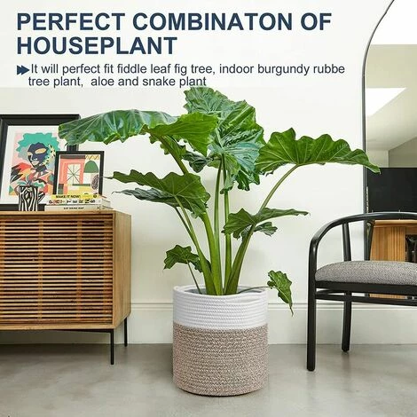 TANèTUE Panier à Plantes Lot De 2 Paniers à Fleurs En Corde Tissé Paniers De Rangement Multifonctionnels En Jute Robuste Avec Poignées Pratiques Organisateur De Rangement 11 X 11 Panier De Sol Pour Plantes Pot De Fleurs D'intérieur 7 TANèTUE Panier à Plantes Lot De 2 Paniers à Fleurs En Corde Tissé Paniers De Rangement Multifonctionnels En Jute Robuste Avec Poignées Pratiques Organisateur De Rangement 11 X 11 Panier De Sol Pour Plantes Pot De Fleurs D'intérieur – Image 5