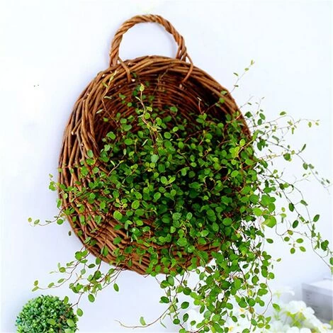FUIENKO Panier à Fleurs En Osier Suspendu Au Mur, Support Pour Plantes De Jardin,BR 6 FUIENKO Panier à Fleurs En Osier Suspendu Au Mur, Support Pour Plantes De Jardin,BR – Image 4