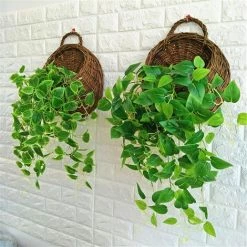 FUIENKO Panier à Fleurs En Osier Suspendu Au Mur, Support Pour Plantes De Vigne De Jardin, Vente En Gros,CF 10 FUIENKO Panier à Fleurs En Osier Suspendu Au Mur, Support Pour Plantes De Vigne De Jardin, Vente En Gros,CF -Petit rangement Soldes Magasin 68626848 4