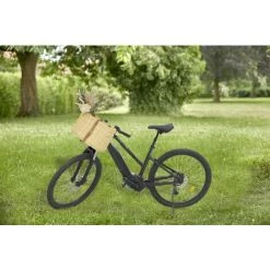 AUBRY GASPARD Panier à Vélo En Jonc Naturel Beige - Beige 7 AUBRY GASPARD Panier à Vélo En Jonc Naturel Beige - Beige -Petit rangement Soldes Magasin 7187339 2